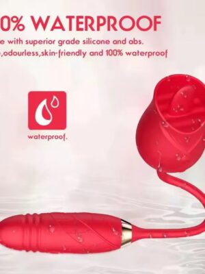 WhatsApp Image 2025-10-12 à 18.16.20_20bf5fee