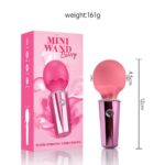 Mini WAND rechargeable Premium đ€