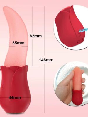 WhatsApp Image 2025-12-04 at 02.20.35 (1)