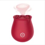 Rose 🌹 suceuse rechargeable Premium