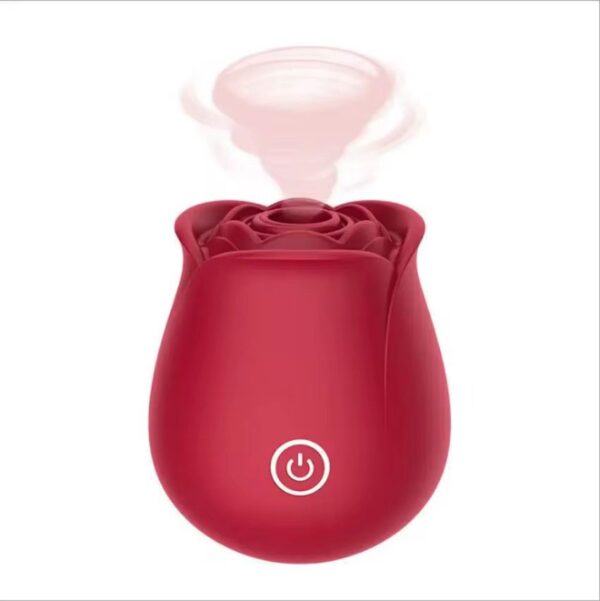 Rose 🌹 suceuse rechargeable Premium