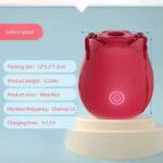 Rose 🌹 suceuse rechargeable Premium