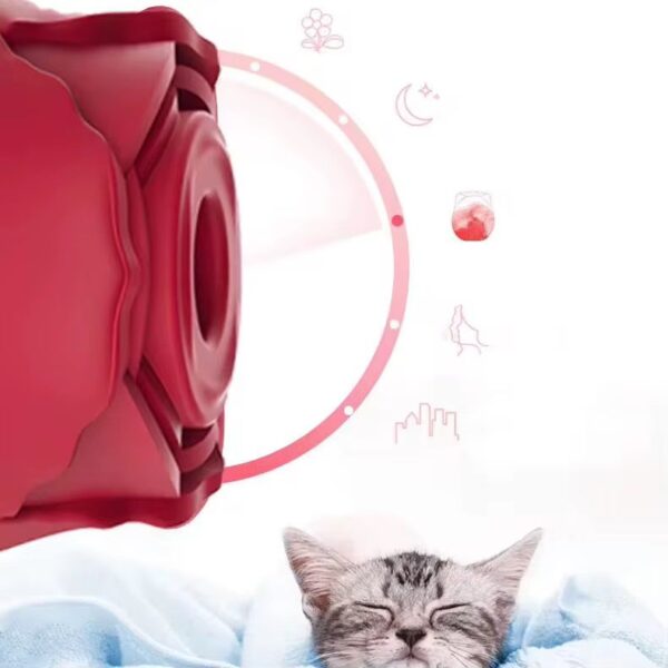 Rose 🌹 suceuse rechargeable Premium